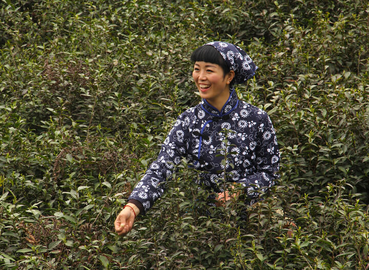 超模直播热门5